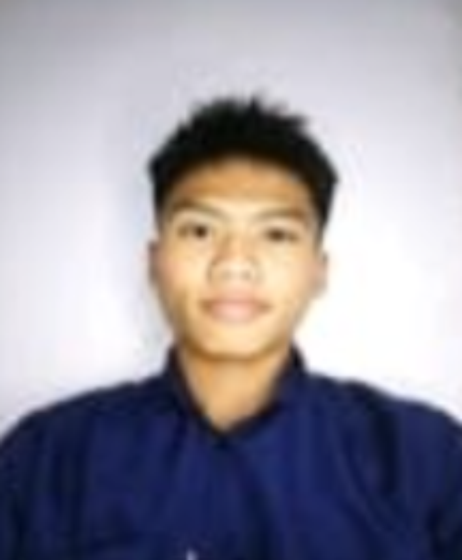 Wijaya Darius S.